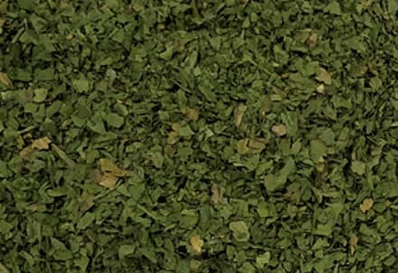 Dehydrated Coriander Leaves
