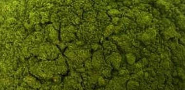 Dehydrated Curry Leaves Powder